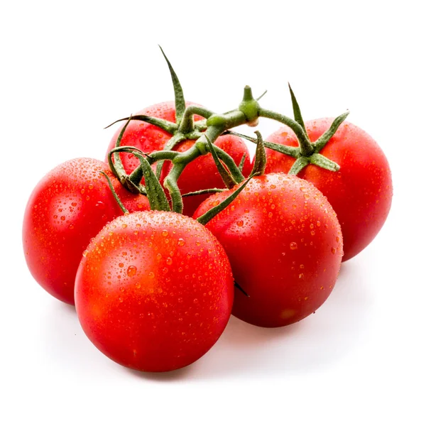 Fresh Vine Tomatoes White Background — Stock Photo, Image