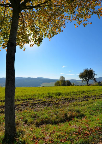 Pintoresca Vista Del Hermoso Paisaje Otoñal — Foto de Stock