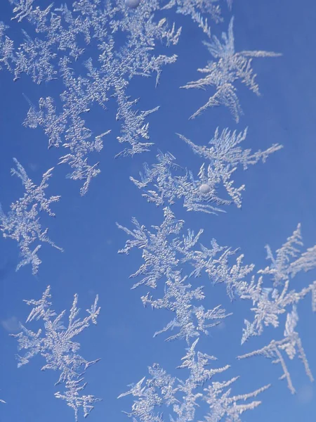 Frostblumen Fenster — Stockfoto