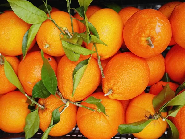 Tangerinas Com Folhas Cesta — Fotografia de Stock