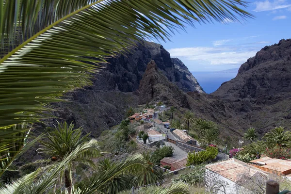Masca Tenerife Spanya — Stok fotoğraf