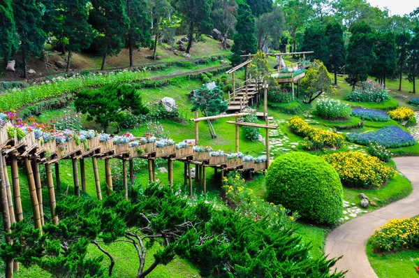 Belleza Los Jardines Las Hermosas Flores —  Fotos de Stock