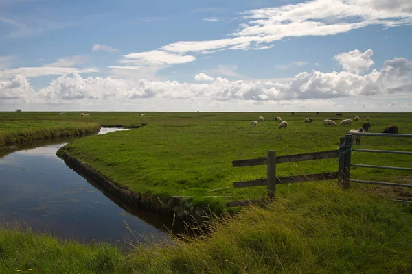 Scenic View Countryside Selective Focus — Stock Photo, Image