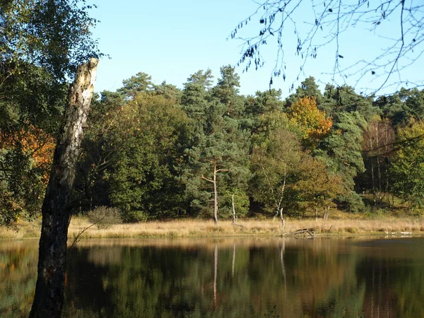 Schöne Aussicht Auf Die Natur — Stockfoto