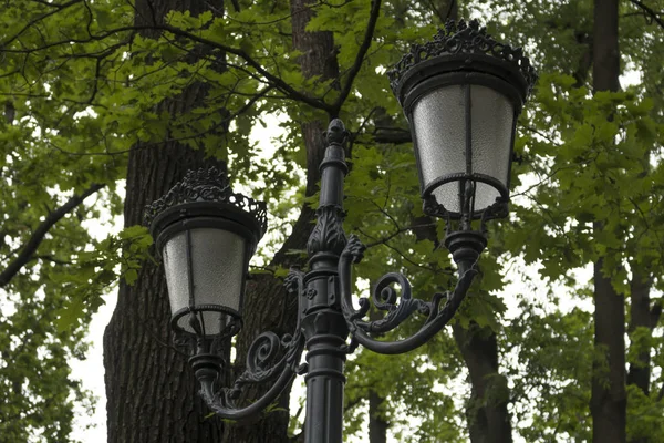 Lanterna Rua Parque — Fotografia de Stock