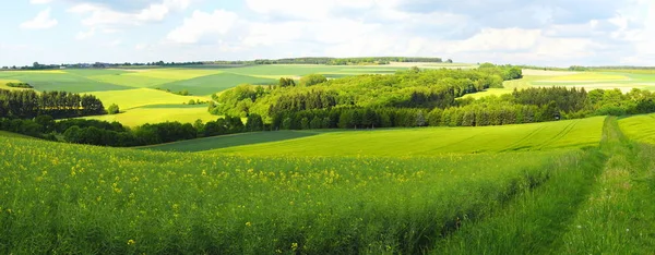 Malebný Výhled Krásnou Jarní Krajinu — Stock fotografie