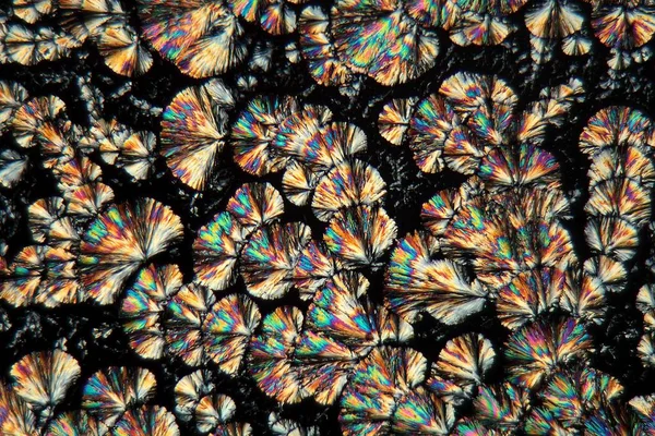 Textúra Mikroszkóp Alatt Mikroszkopikus — Stock Fotó
