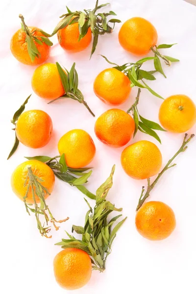 Frisch Gepflückte Clementinen Mit Blättern — Stockfoto