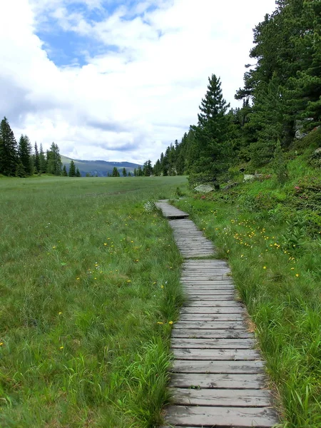 Beautiful View Nature — Stock Photo, Image