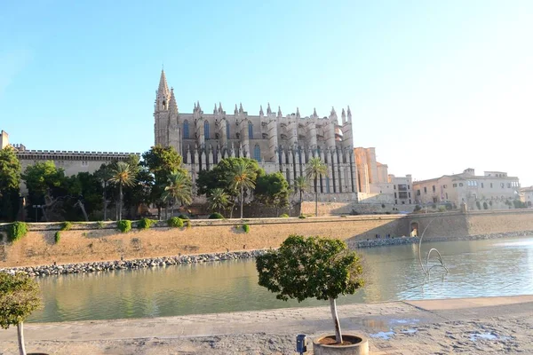 Palma Mallorca Daki Gotik Katedral Seu Balearic Spanya — Stok fotoğraf