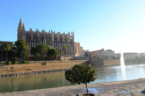 Gothic Cathedral Seu Palma Mallorca Balearic Spain — Stock Photo, Image