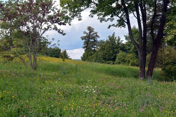 Lato Parku — Zdjęcie stockowe