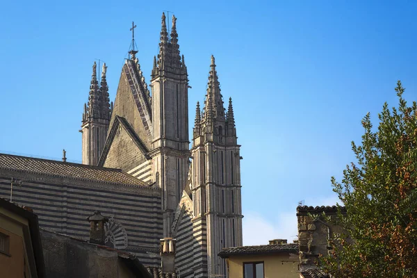 Santa Maria Assunta Cathedral Detail Towers — Stock Photo, Image