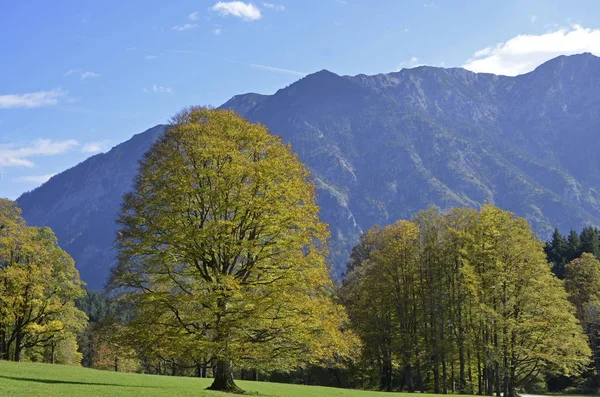 Vista Panorâmica Paisagem Majestosa Dos Alpes — Fotografia de Stock