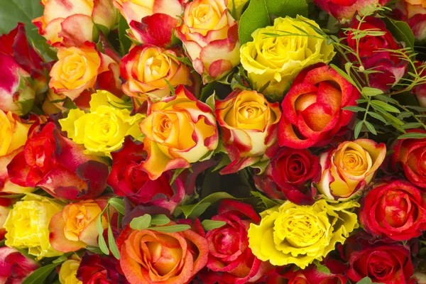 Buquê Rosas Multicoloridas — Fotografia de Stock