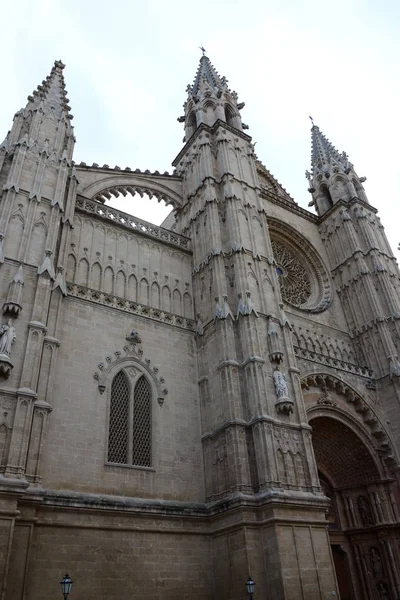 Katedral Gothic Seu Palma Mallorca Balearic Spain — Stok Foto