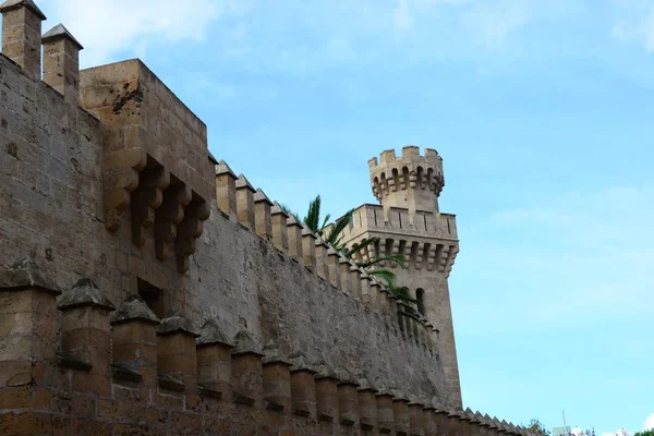 Gothic Cathedral Seu Palma Mallorca Balearic Spain — Stock Photo, Image