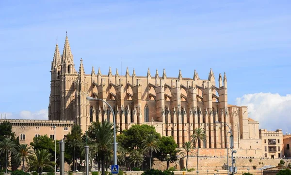 Gothic Sua Catedral Palma Mallorca Dolor — Foto de Stock