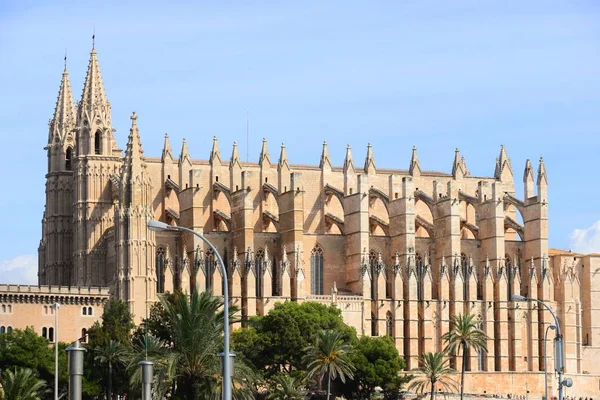 Gothic Seu Cathedral Palma Mallorca Spain — Stock Photo, Image