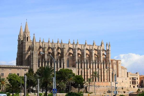 Gotycka Katedra Seu Palma Mallorca Hiszpania — Zdjęcie stockowe