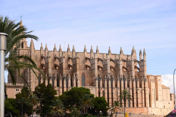 Gothic Sua Catedral Palma Mallorca Dolor — Foto de Stock