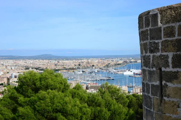 Gotiska Katedralen Seu Palma Mallorca Spanien — Stockfoto