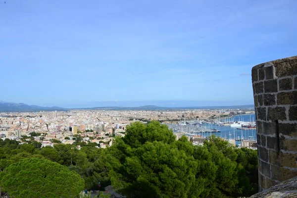 Catedral Gótica Seu Palma Mallorca Espanha — Fotografia de Stock