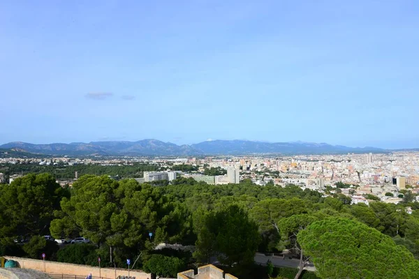 Puerto Palma Mallorca Dolor —  Fotos de Stock