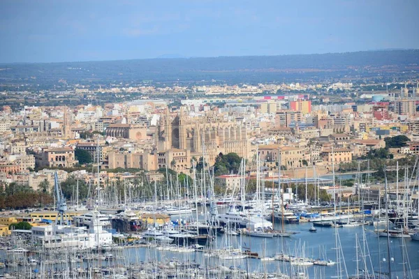 Cattedrale Gotica Seu Palma Mallorca Spagna — Foto Stock