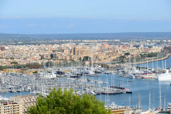 Palma Mallorca Daki Gotik Katedral Seu Spanya — Stok fotoğraf