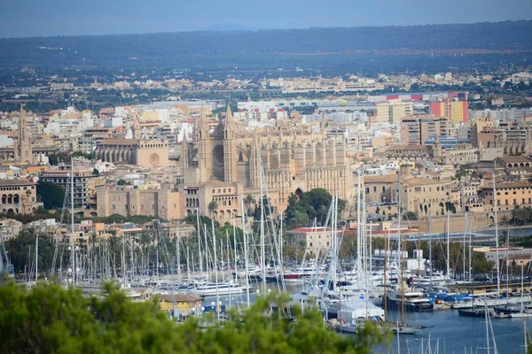 Catedral Gótica Seu Palma Mallorca Espanha — Fotografia de Stock