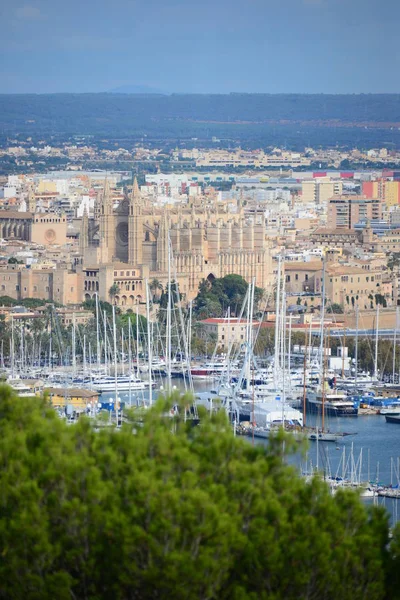 Gotická Katedrála Seu Palmě Mallorca Španělsko — Stock fotografie