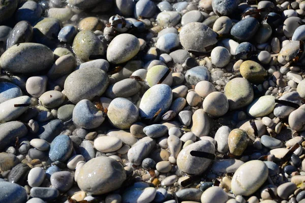 Tegels Het Strand Grijze Rotsen — Stockfoto