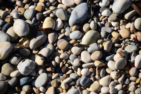 Pavimentazione Pietre Sulla Spiaggia Rocce Grigie — Foto Stock