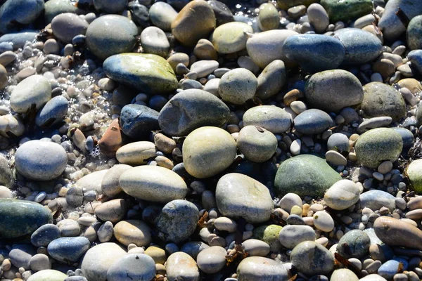 Pavés Sur Plage Rochers Gris — Photo