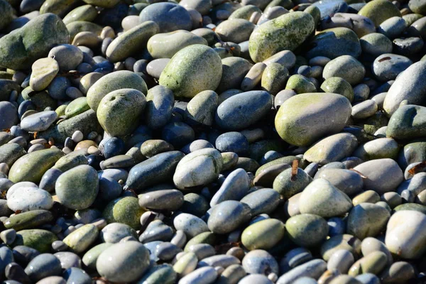 Pavés Sur Plage Rochers Gris — Photo