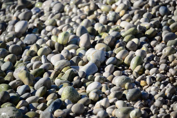 Kövezetek Strandon Szürke Sziklák — Stock Fotó