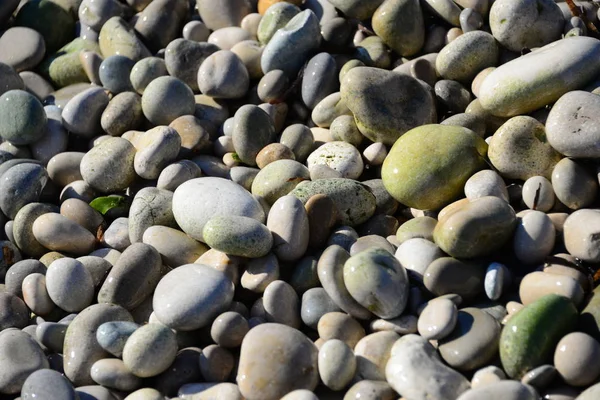 Kövezetek Strandon Szürke Sziklák — Stock Fotó