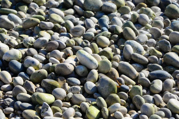 Dlažební Kameny Pláži Šedé Skály — Stock fotografie
