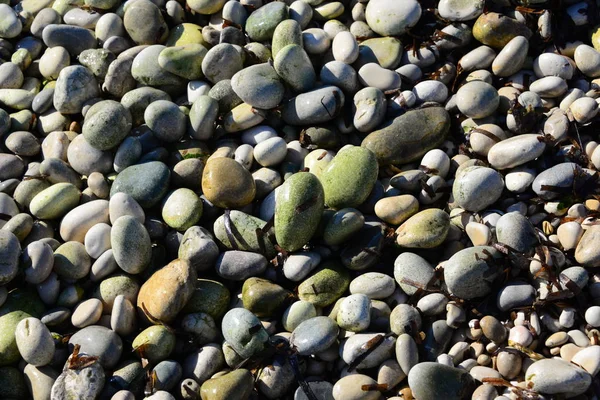 Dlažební Kameny Pláži Šedé Skály — Stock fotografie