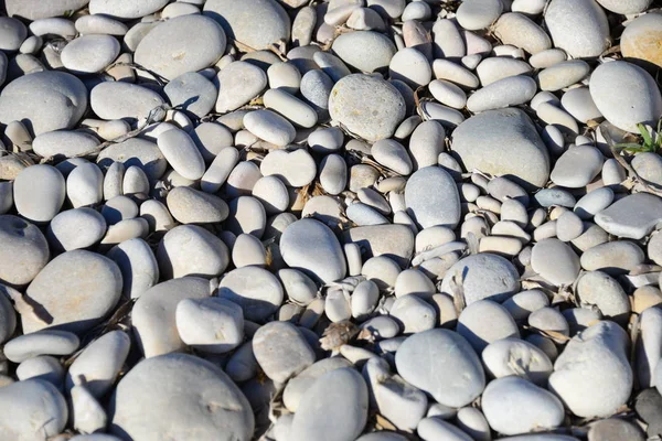 Pavimentação Pedras Praia Rochas Cinzentas — Fotografia de Stock