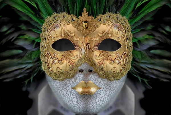 Carnaval Masker Maskerade Kostuum — Stockfoto