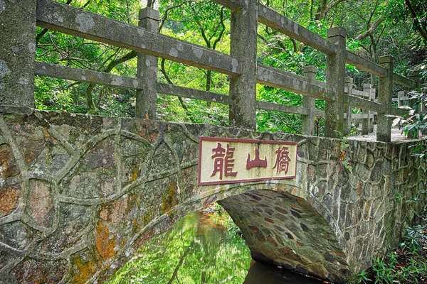 森の中の橋 — ストック写真