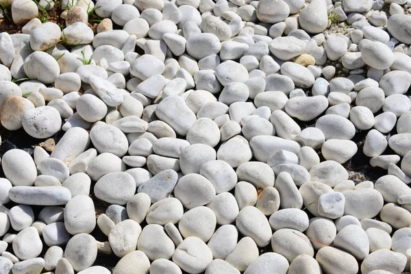 Tegels Het Strand Grijze Rotsen — Stockfoto