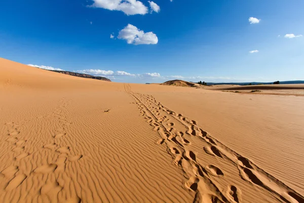 Coral Pink Sand Dunes State Park Utah — Foto de Stock