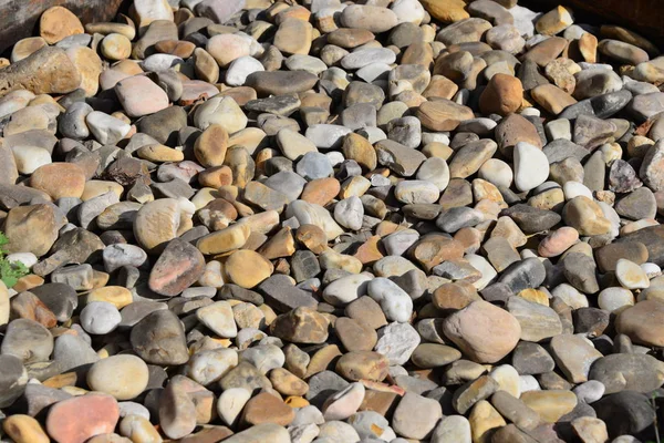 Pavimentação Pedras Praia Rochas Cinzentas — Fotografia de Stock