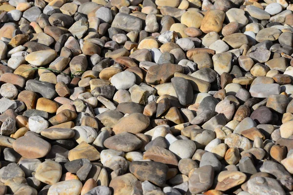 Πλακόστρωτες Πέτρες Στην Παραλία Γκρίζα Βράχια — Φωτογραφία Αρχείου