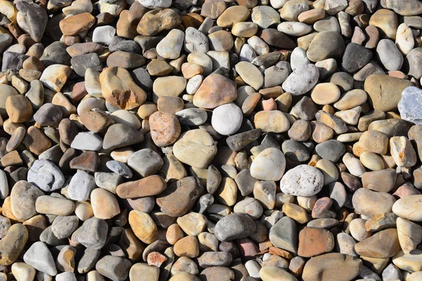 Pavimentação Pedras Praia Rochas Cinzentas — Fotografia de Stock