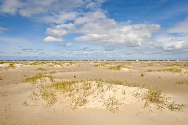 Panoramisch Uitzicht Duinen Selectieve Focus — Stockfoto