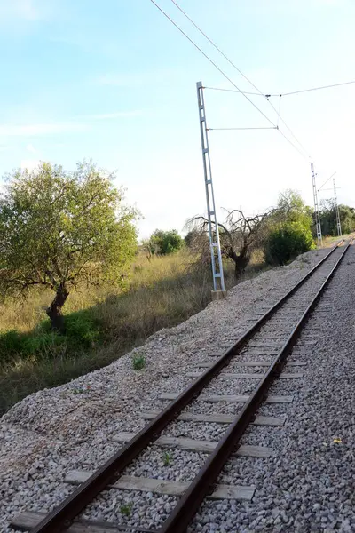 Voies Ferrées Chemins Fer Voie Ferrée Train Espagne Soller Mallorca — Photo